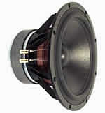 TIW 300 8 OHM